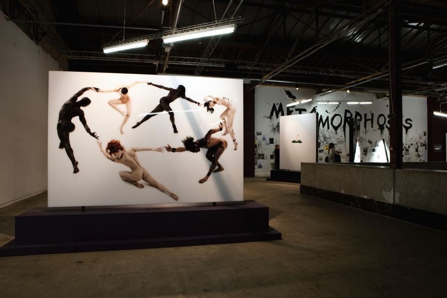 PALAIS de TOKYO - PARIS, FRANCE — « METAMORPHOSIS »