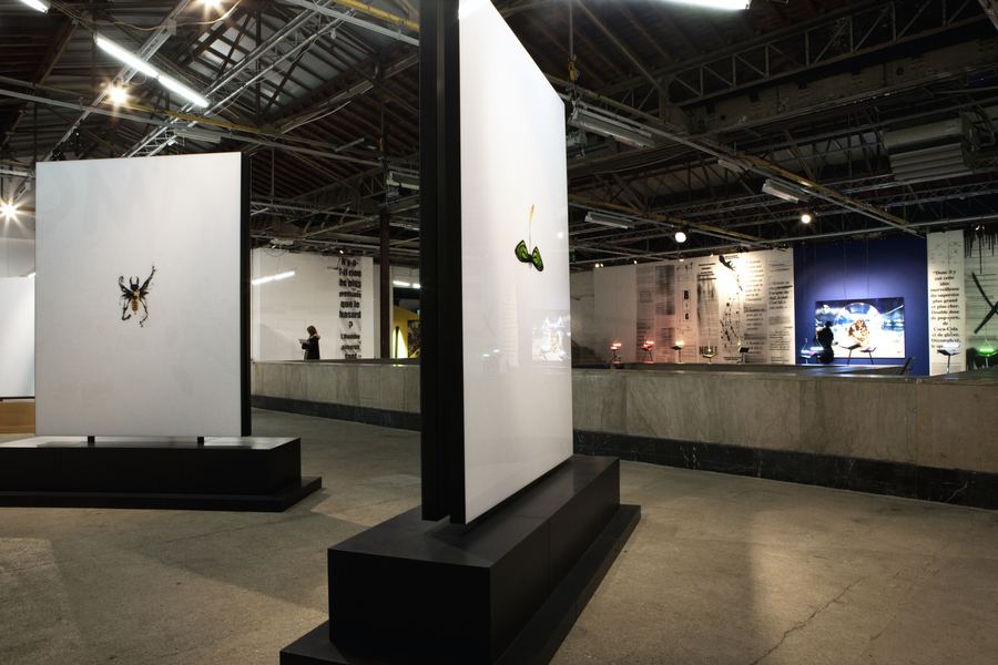 PALAIS de TOKYO - PARIS, FRANCE — « METAMORPHOSIS »