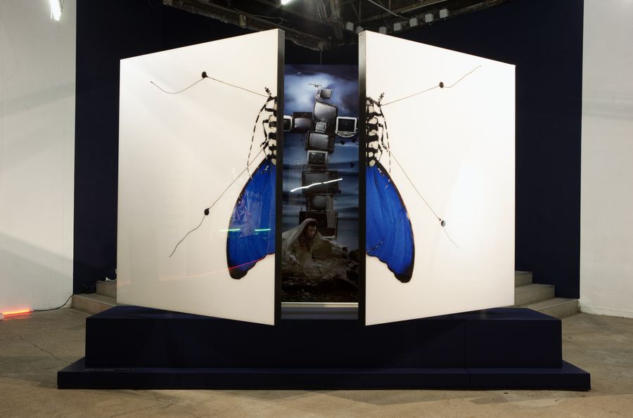 PALAIS de TOKYO - PARIS, FRANCE — « METAMORPHOSIS »